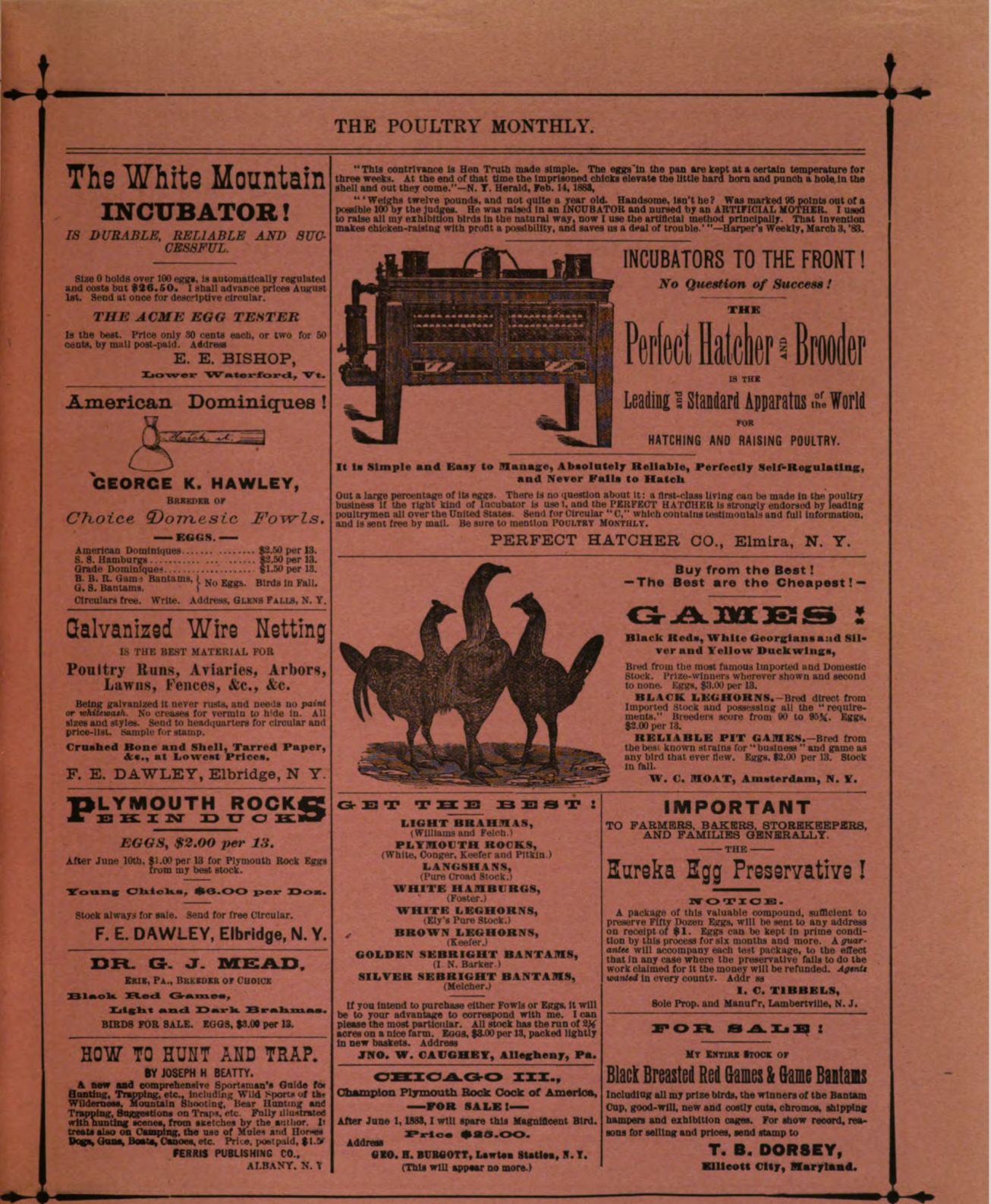Poultry Monthly.jpg